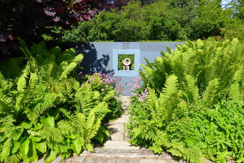  Tony Ridler's garden, Swansea 