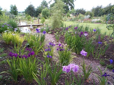 View of part of the 'Iris Ditch' at Aulden